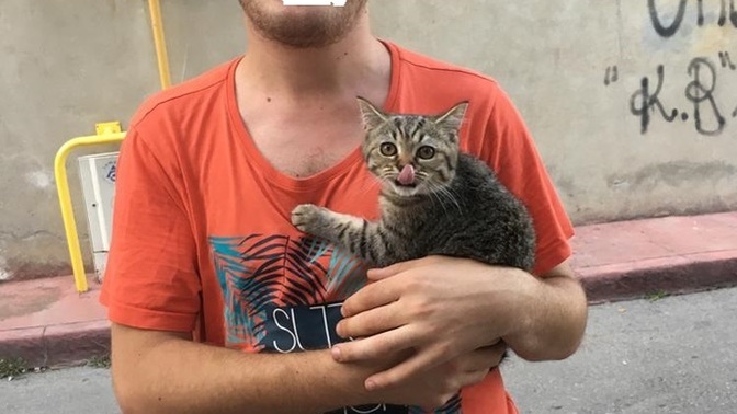 Kedime isim koyacağım?