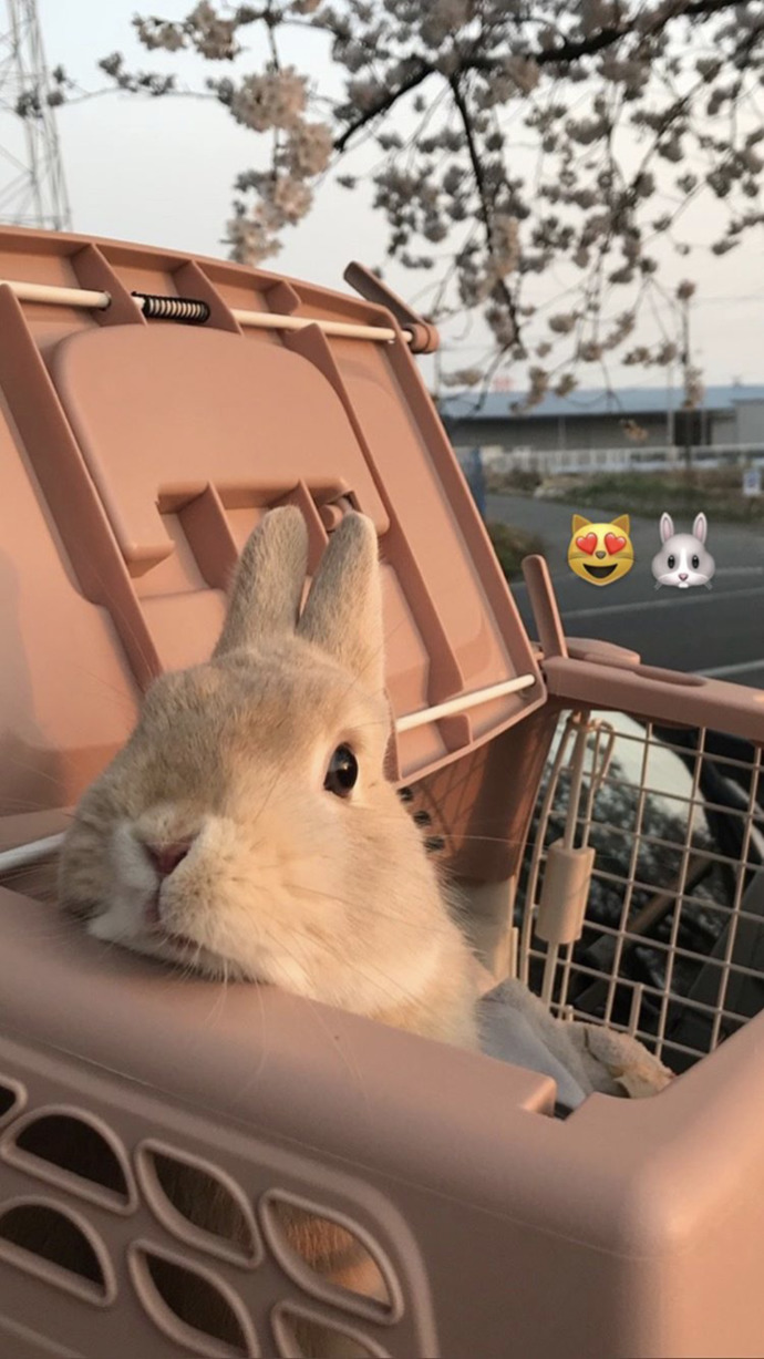 Naber cınım? 🥕