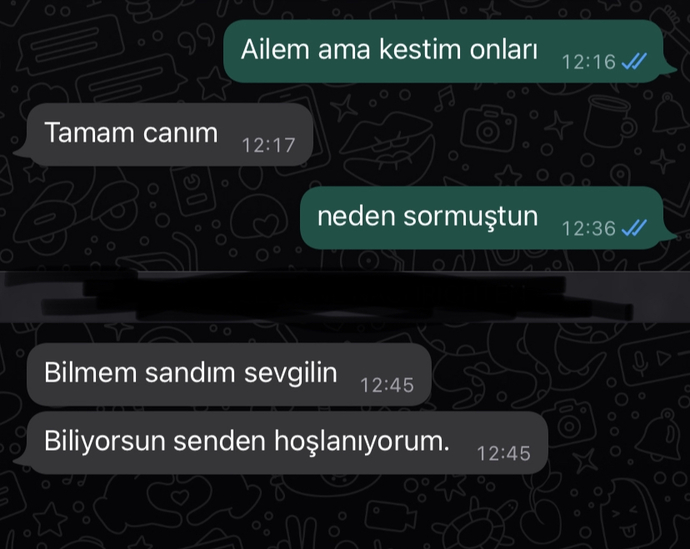 Uzun süredir ekli olan erkek, bana böyle bir şey yazmış ne desem?
