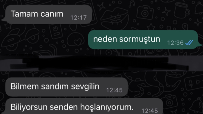 Uzun süredir ekli olan erkek, bana böyle bir şey yazmış ne desem?