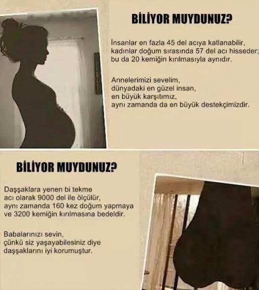 Sizce fiziksel olarak erkekler mı daha güçlüdür yoksa kadınlar mı?
