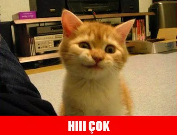 seviyosan git konuş bence
