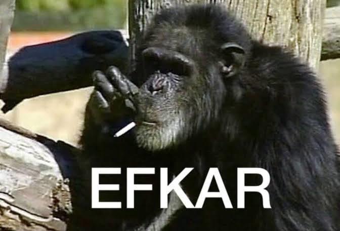Efkarlanınca ne yaparsınız?