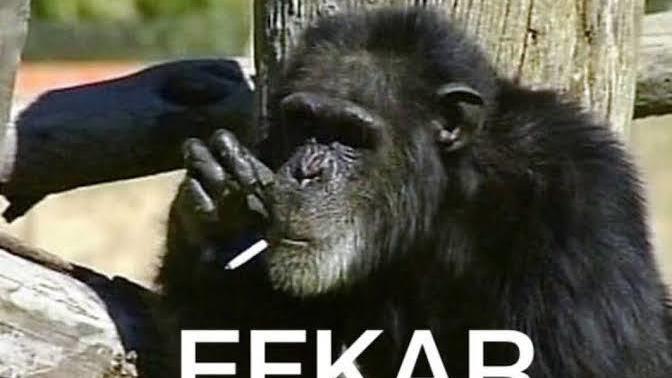 Efkarlanınca ne yaparsınız?