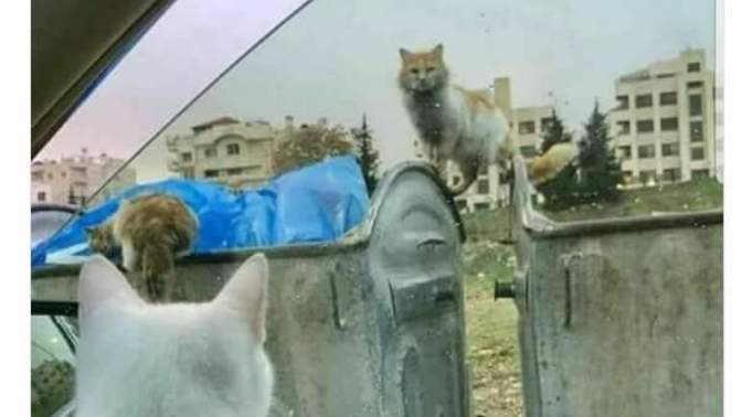 Maddi durumu olmayan kişinin sevgili yapmasına hakkı yok mu?