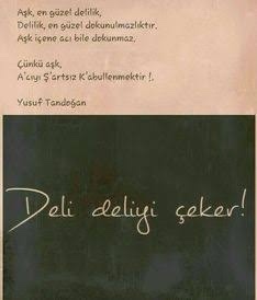 Aşk bir nevi delilik midir?
