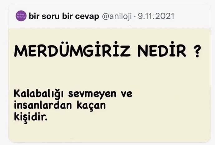 Resim öylesine