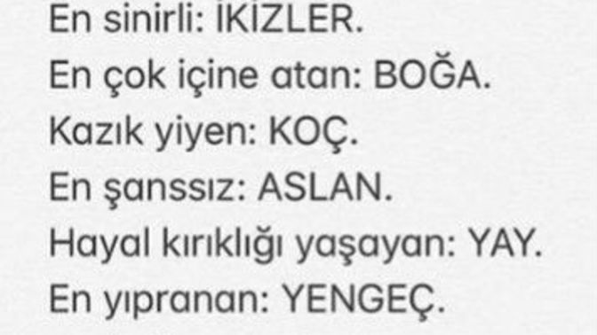 Burç en çok neyi yapıyor?
