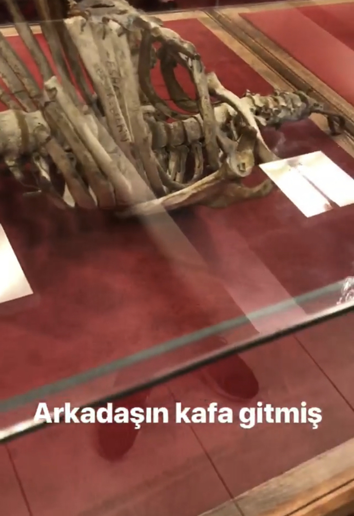 Sanat müzesi gezdiniz mi hiç?