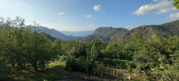 An itibariyle hafta sonu plânınız nedir?