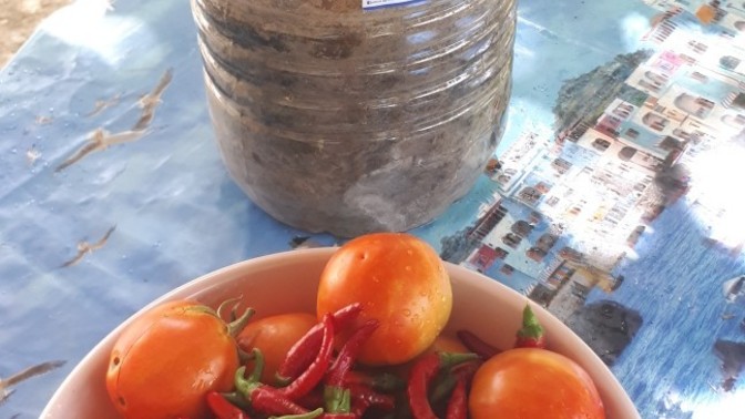 Hiç kendi ellerinizle kışlık hazırladınız mı?