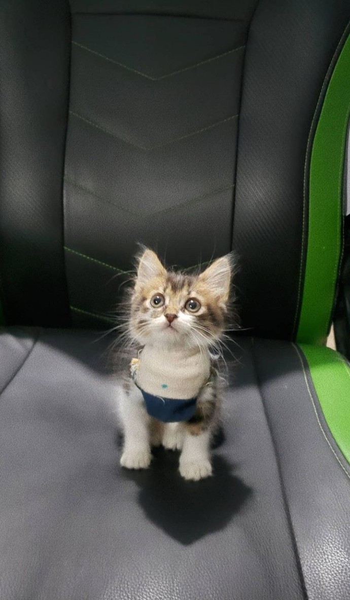 Bebeğim çok tatlı değil mi?