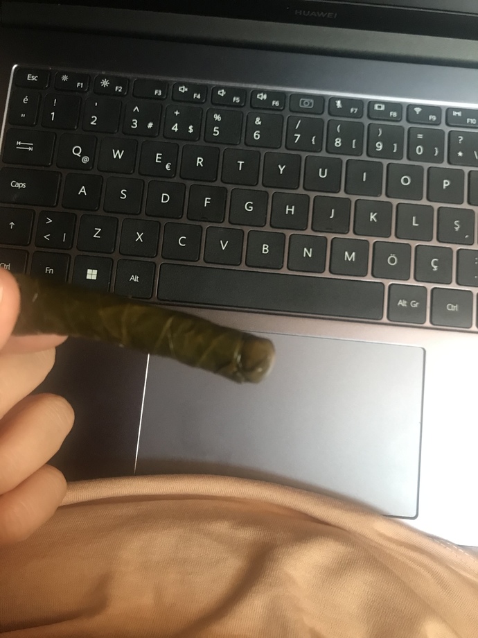 Çok hamarat değil miyim ama?