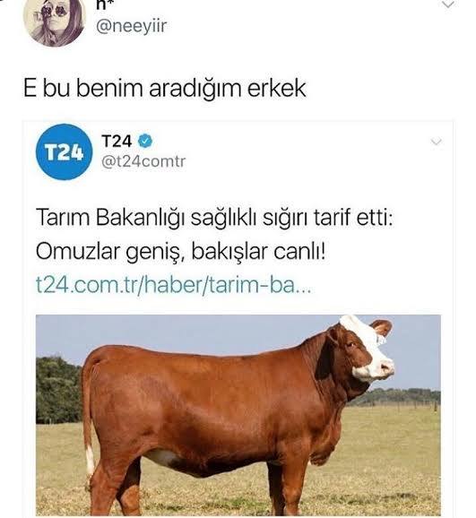 Kadınlar nasıl erkeklere tav oluyor?