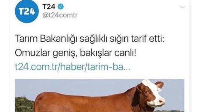 Kadınlar nasıl erkeklere tav oluyor?