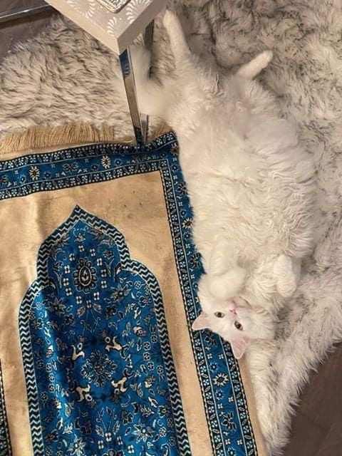 Yine yaramazlık peşinde bizimki🥰