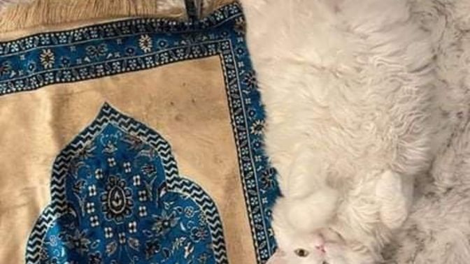 Vakit ayırdığınız neler var\ya da  neler olmalı?