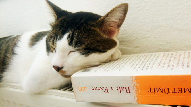 En büyük kazancınız ne bu hayatta?