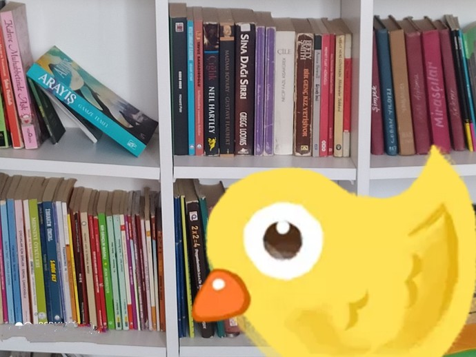 Bu yaşınıza kadar tahminen kaç kitap okumuşsunuzdur?