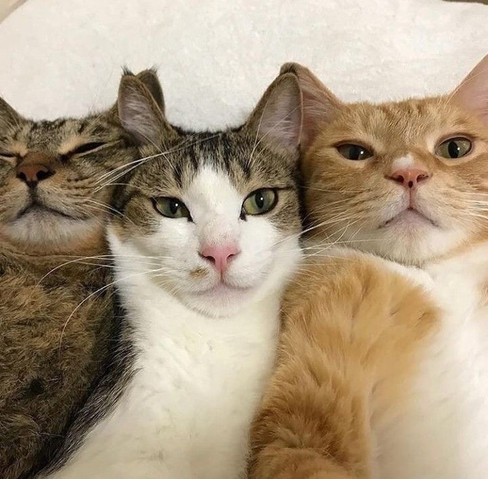 Gününüzün ne kadarını selfie çekilmeye harcarsınız?