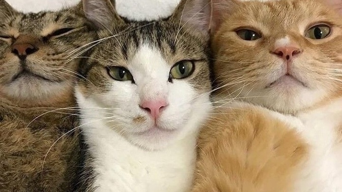 Gününüzün ne kadarını selfie çekilmeye harcarsınız?