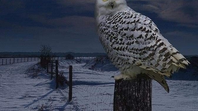 Dünyada günah olmasaydı neler yapardınız?