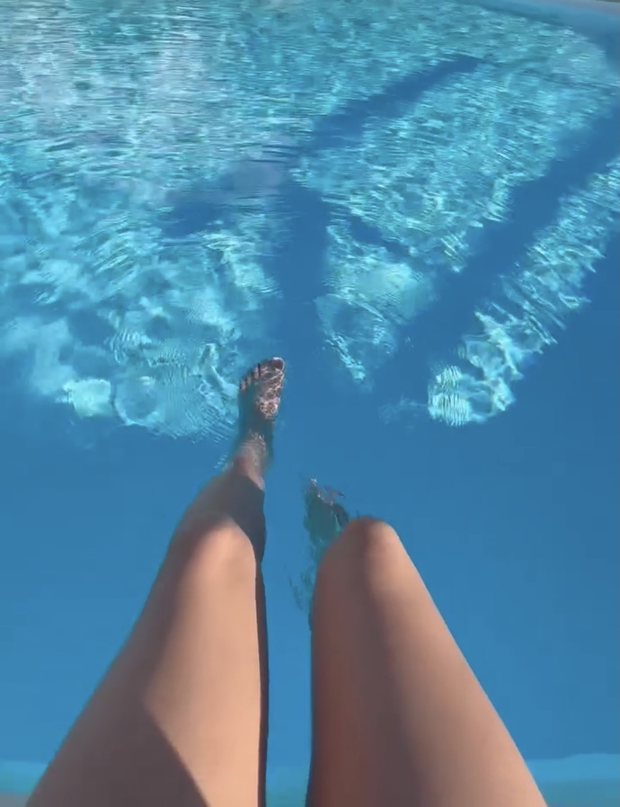 🐬