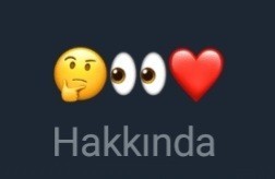 Bu hakkındaya konulan emojilerin anlamı nedir sizce foto detayda önemli bi konu?