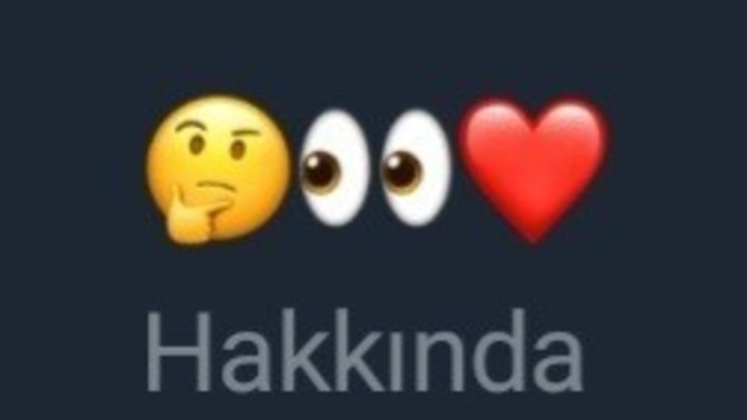 Bu hakkındaya konulan emojilerin anlamı nedir sizce foto detayda önemli bi konu?