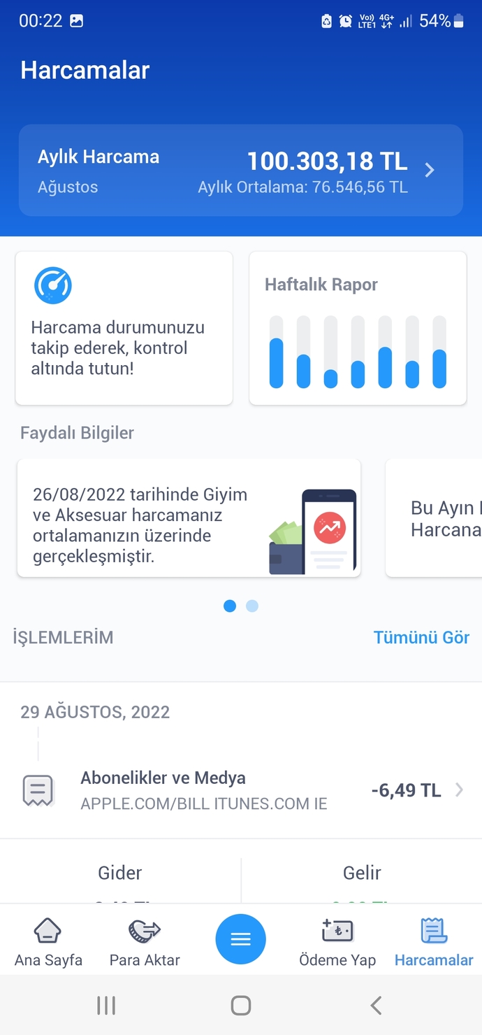 Bu ay kac para harcadiniz? ben 160.000 harcadim kontrolden ciktim?