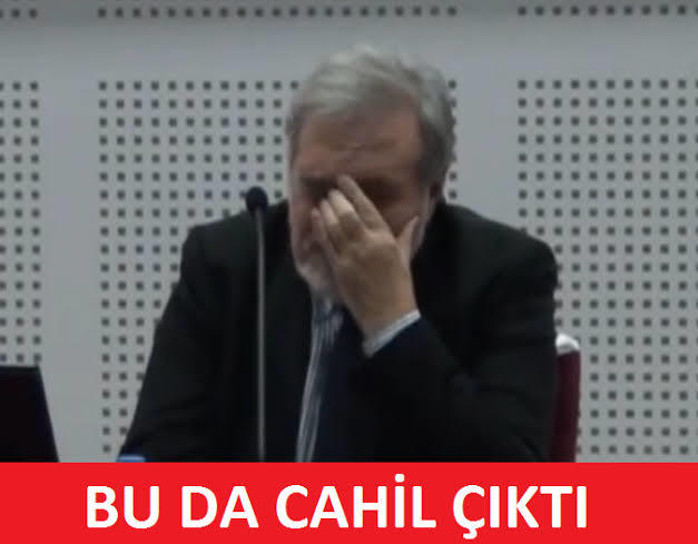 Kraliçe arının havada birden fazla erkekle çiftleşmesini neye bağlıyorsunuz?
