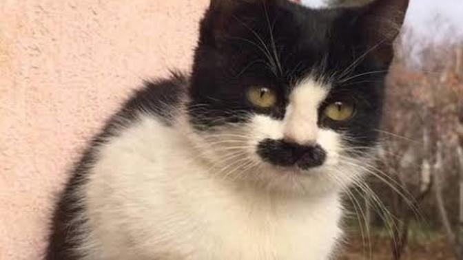 Kızlar neden sürekli prenses muamelesi görmek istiyor?