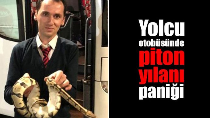 Yolculuk yaptığınız otobüste piton yılanı görseydiniz ne yapardınız?