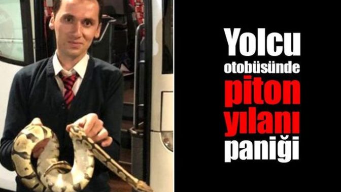 Yolculuk yaptığınız otobüste piton yılanı görseydiniz ne yapardınız?