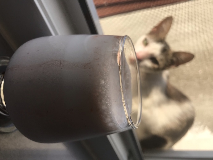 Evde milkshake yapıyor musunuz?