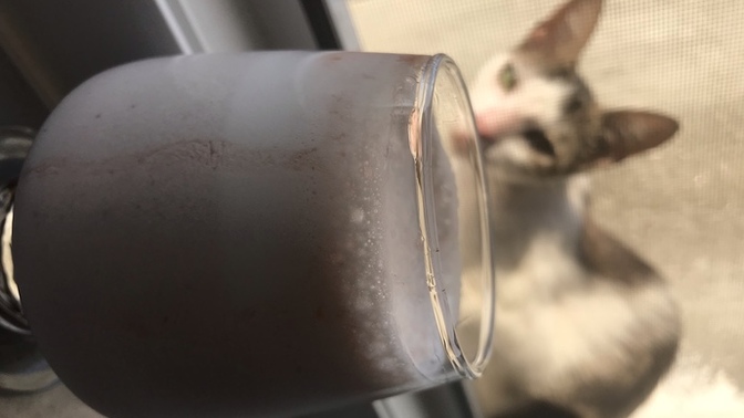 Evde milkshake yapıyor musunuz?
