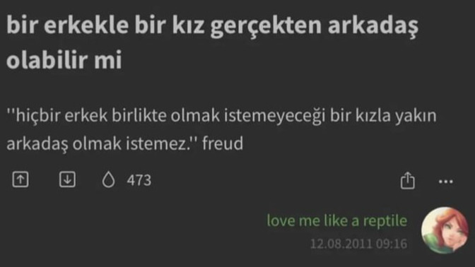 Bi erkek bi kızla arkadaş olabilir mi?