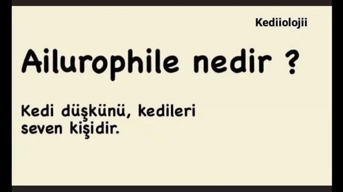 Siz bu hayatta nelere düşkünsünüz?