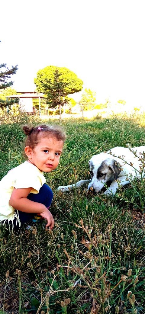 Hayvan dostlarımızın fotoğraflarını bizimle paylaşır mısın?