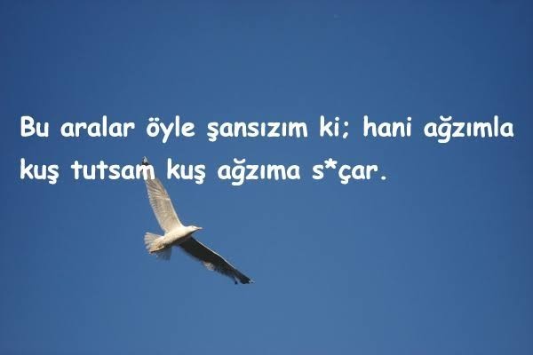 "Hay benim şansıma!" dediğiniz neler var?