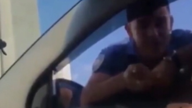 Görevi Güvenliği Sağlamak Olan Devlet Memuru?