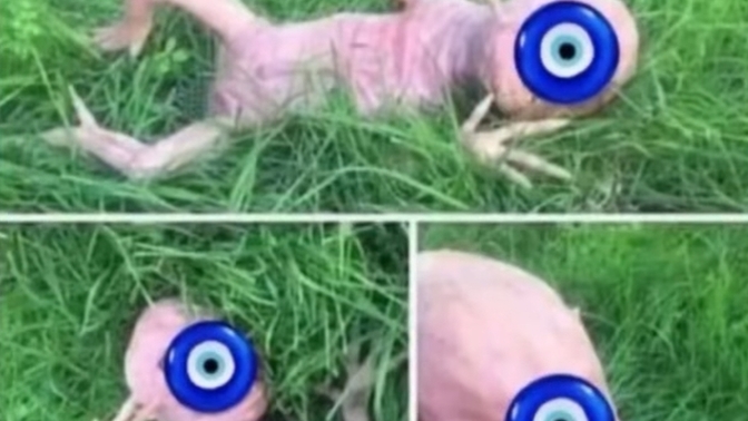 Sosyal medyada fotograf koyup neden emojiyle kapatıyorlar acaba?