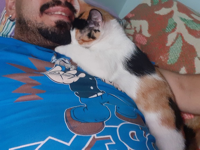 Her gün bu sahneyi 30 40 dk yaşıyoruz. Sizin de canınız evladınız var mı?