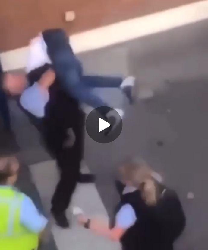 Hollandada trene biletsiz binmek isteyen Somalili, kendisini uyaran kadına yumruk atıp burnunu kırınca dövüldü?