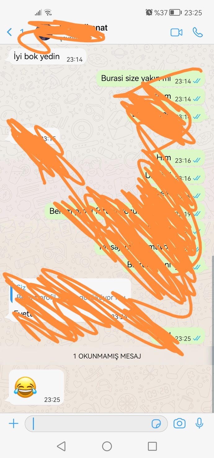 İPhone watsap teması mi bu?