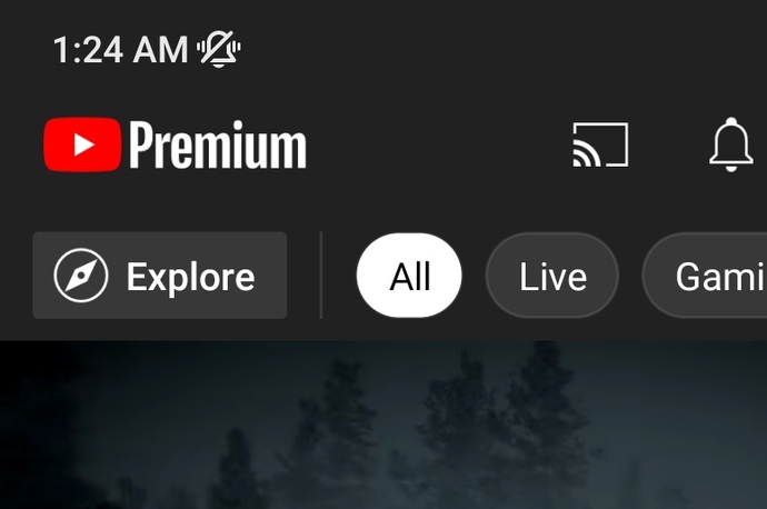 Youtube reklamları abartmadı mı?