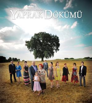 Sizce 2004 - 2011 yılları arasında yayımlanan dizilerden en güzeli hangisi?
