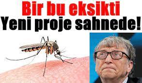Bill Gates tüm ülkelerde sivrisinek fabrikaları kuruyor! Sizce Bill Gates ne yapmak istiyor?