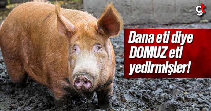 Türkiyede turizm sektörü lanetli bir sektör mü?