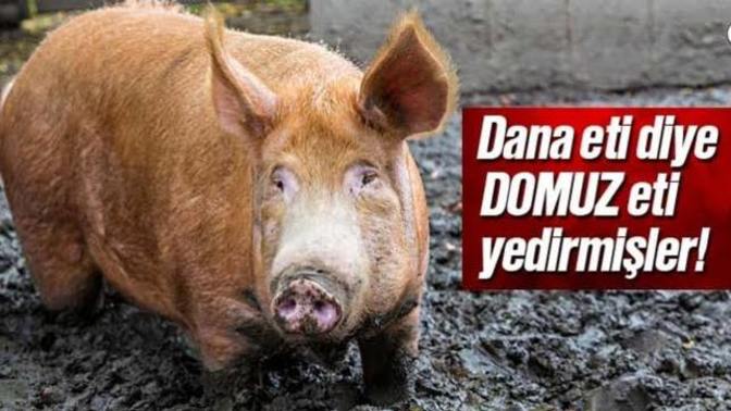 Türkiye'de turizm sektörü lanetli bir sektör mü?